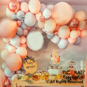 SET DE GLOBOS ARCO GUIRNALDA COLORES PASTELES ROSA PLATA Y CELESTE X 1